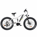 MID Drive Electric Mountain Bike Fat Tire Electric Bike Full Suspension Mountain Ebike